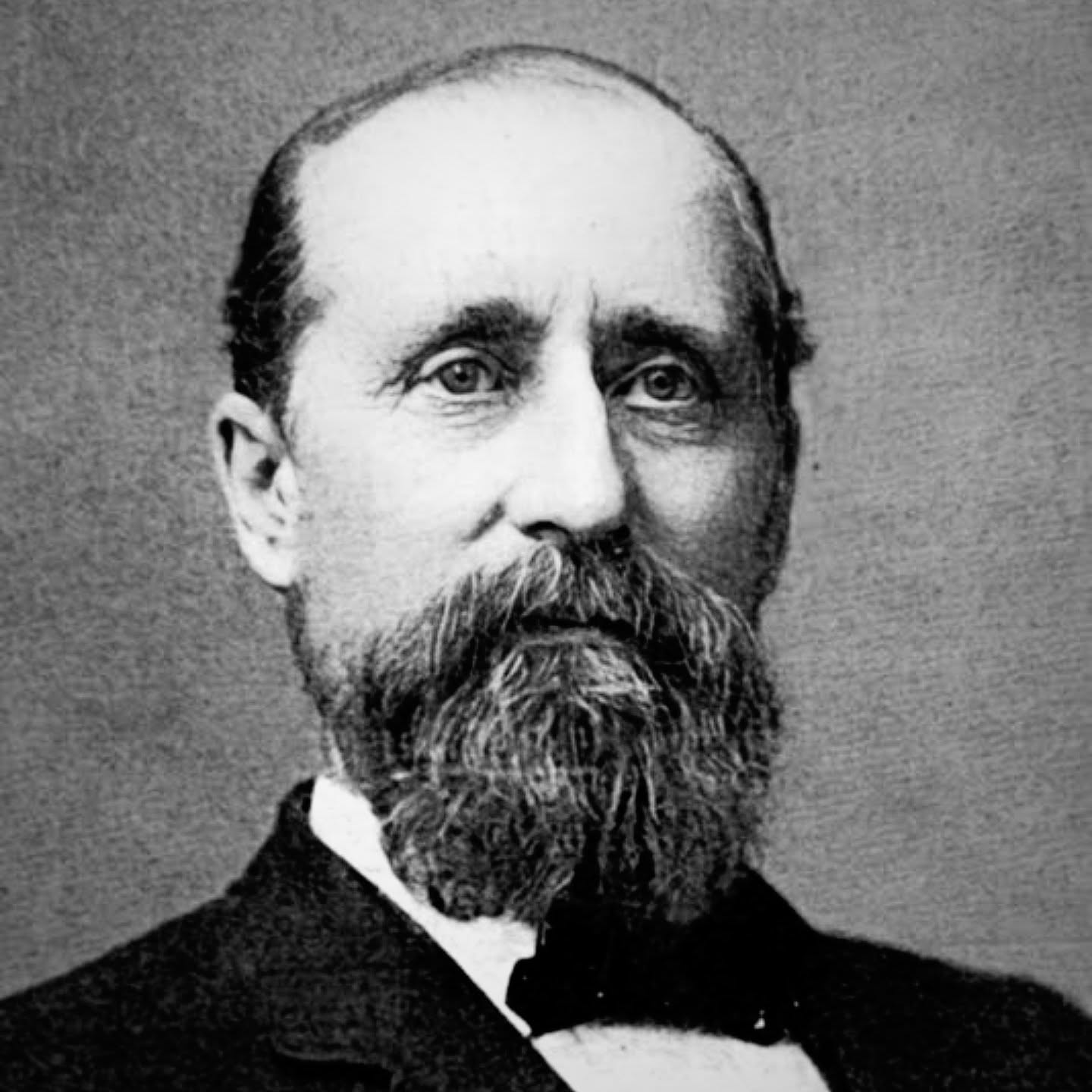 Bearded man in formal suit portrait